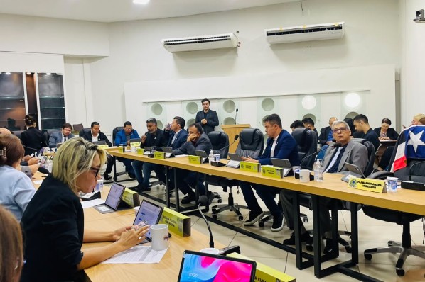 30ª Sessão Ordinária reúne propostas para infraestrutura, esporte e proteção animal em Imperatr...