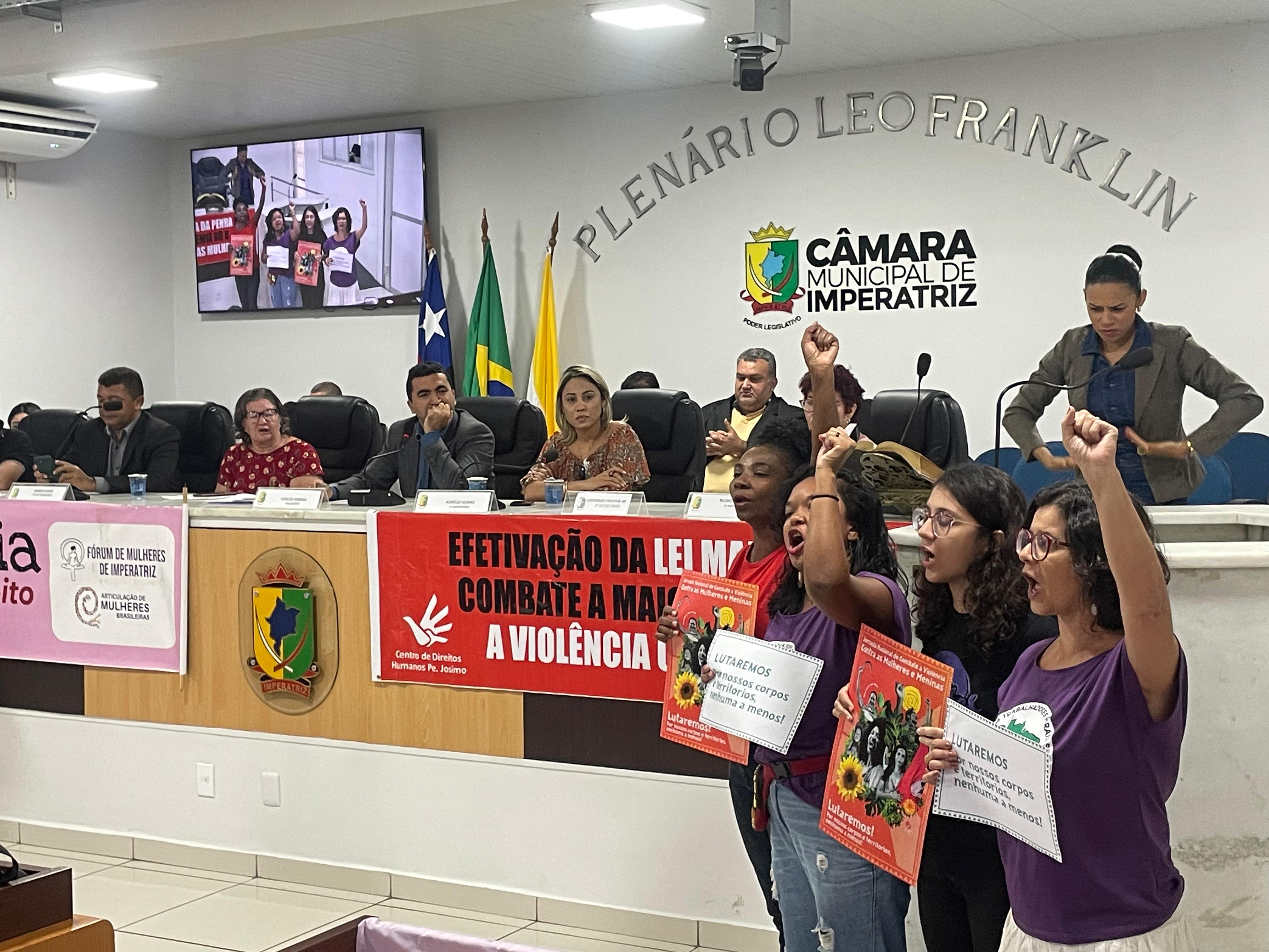 Audiência na Câmara Municipal aborda Campanha Internacional pelo Fim da Violência contra Mulher...