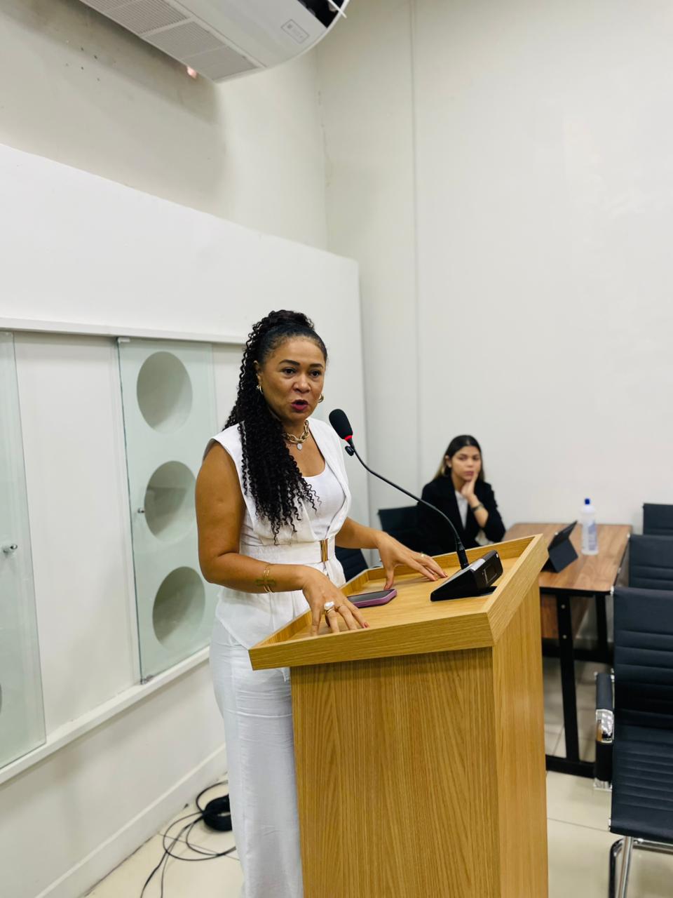 Audiência pública aborda desafios tributários enfrentados por associações de Imperatriz